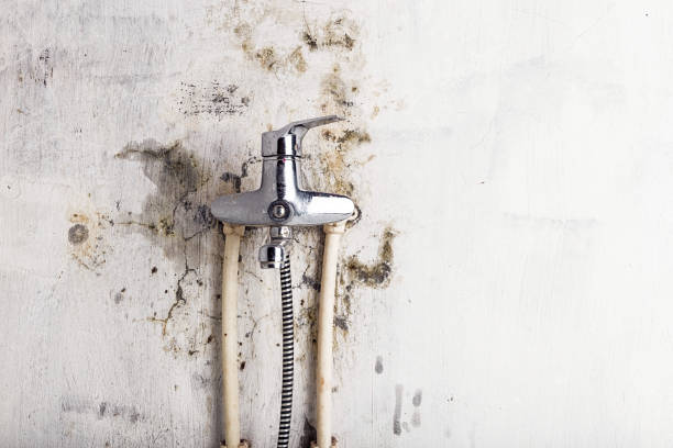 Professional Mold Removal in Kotlik, AK
