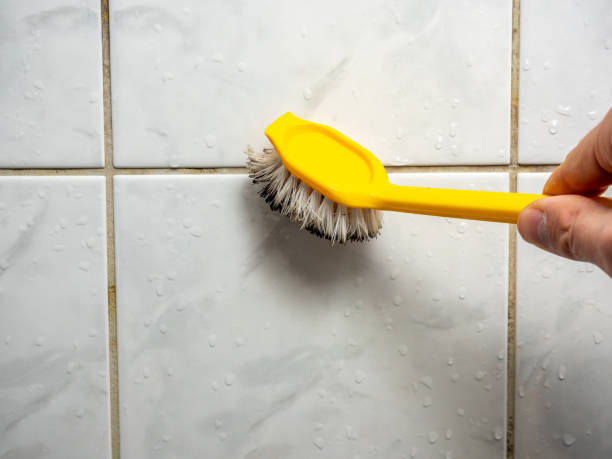 Best Local Mold Removal Service  in Kotlik, AK