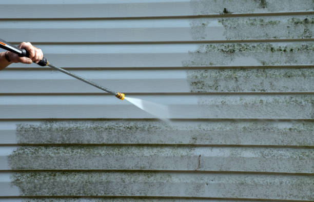 Best Mold Cleaning Services  in Kotlik, AK
