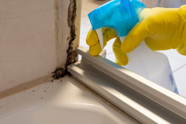 Best Residential Mold Removal  in Kotlik, AK