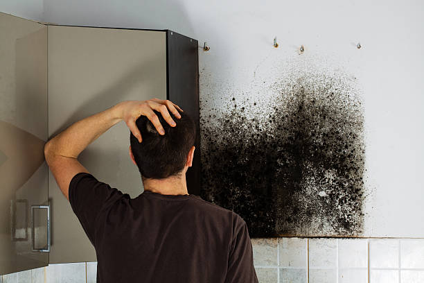Best Crawl Space Mold Removal  in Kotlik, AK